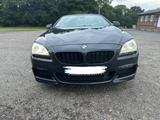 BMW 640d xDrive Cabrio-313 PS-160000-TÜV bis 03/2028 - BMW: 1600