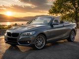 BMW 220i Steptronic Cabrio Sport Line  - gebrauchte BMW 220 aus dem Jahr 2021