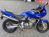 Honda CB 600 S Hornet (PC36) - MOTORRAD 600