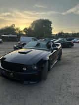 Ford Mustang Saleen Umbau,4,6 V8, 38 tkm, ... - Ford Mustang aus 2009