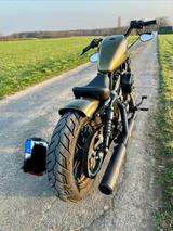 Harley-Davidson Iron 883 - Olive Gold - Top Zustand - 1. Hand  - HARLEY-DAVIDSON IRON