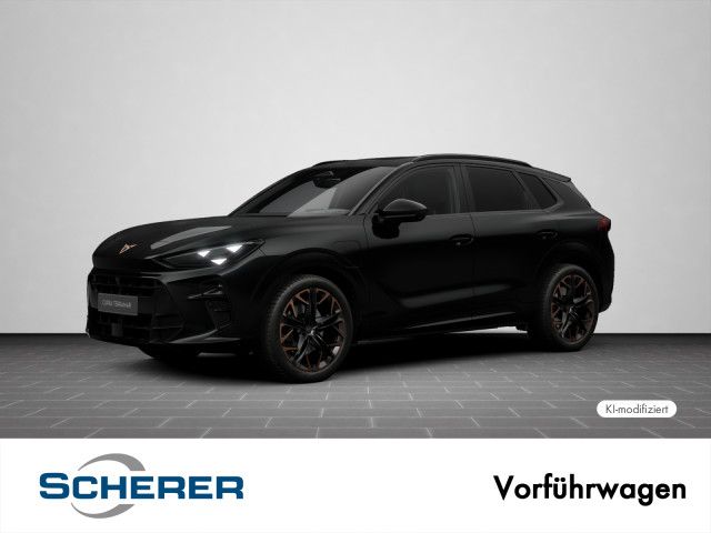 Image of Cupra Terramar