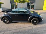 Volkswagen VW Beetle Cabriolet 2.0 - Volkswagen Beetle aus 2003: Cabrio