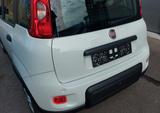 Fiat Panda City Life, Mild-Hybrid, Szh., Klima, PDC - gebrauchte Fiat Panda aus dem Jahr 2022