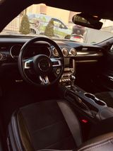Ford Mustang GT 5.0 V8 EU Automatik - Ford Mustang in Frankfurt (Main)