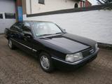 Audi100,C3,Typ 44-5Zylinder lim - Audi 100: 100c3
