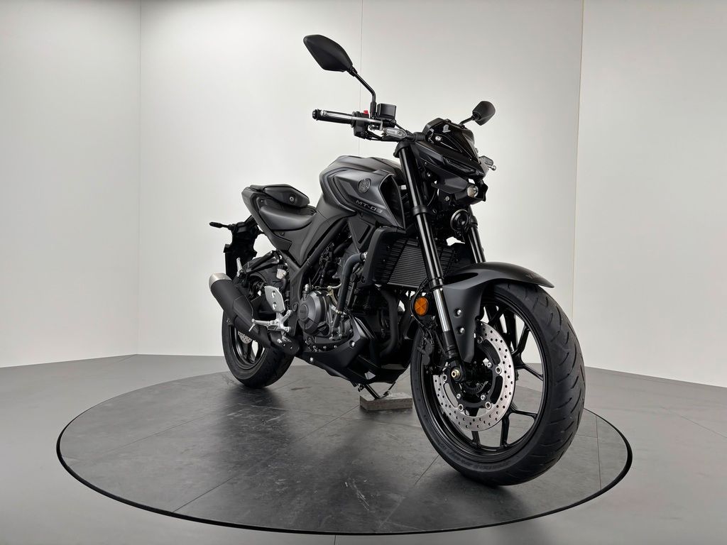 Fahrzeugabbildung Yamaha MT-03 *AKTION: TRANSPORT & SOUND !