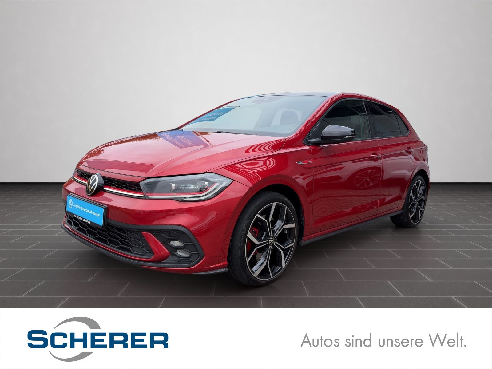 Volkswagen Polo GTI 2.0 TSI DSG MATRIX IQ-DRIVE NAVI RFK