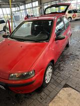 Fiat Punto 1.2 - Fiat Punto in Mönchengladbach