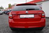 Skoda Rapid Spaceback 1.0 Ambition Bi-Xenon SmartLink - Skoda Rapid Benzin Gebrauchtwagen