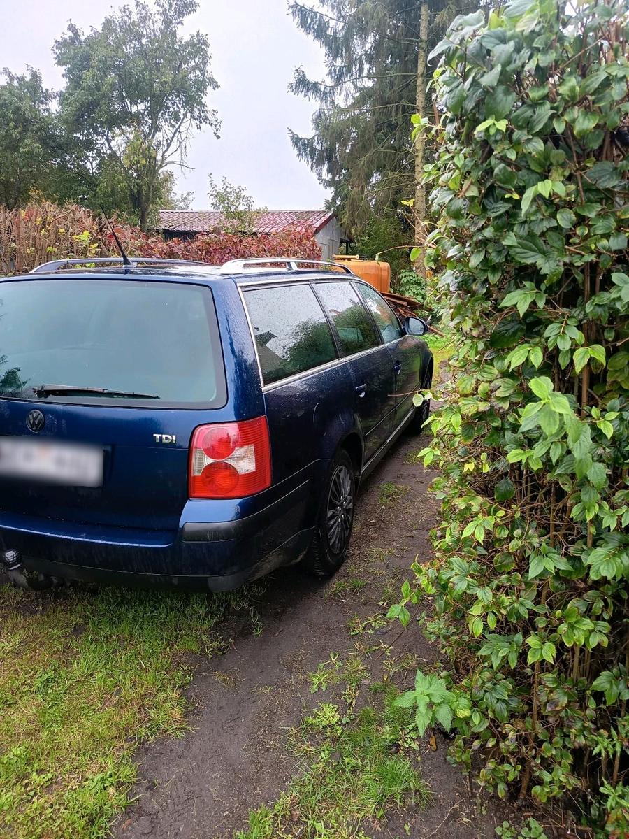 Volkswagen Passat 2005 — photo 6