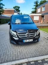 Mercedes-Benz V 250 BlueTEC AVANTGARDE lang AVANTGARDE - Mercedes-Benz V-Klasse: Avantgarde