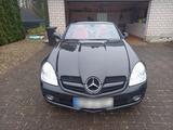 Mercedes-Benz Mercedes Benz SLK300 - Mercedes-Benz SLK 300 mit Benzin-Antrieb: Cabrio