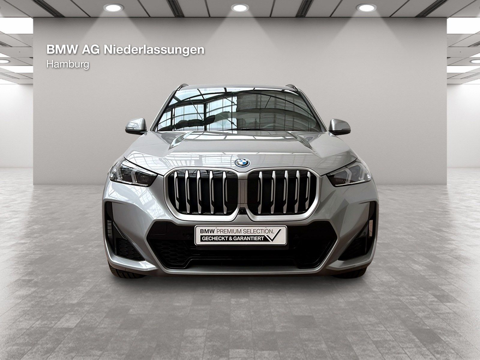 BMW X1 xDrive30e M Sport Leder AHK Driv.Assist.Prof  foto 10