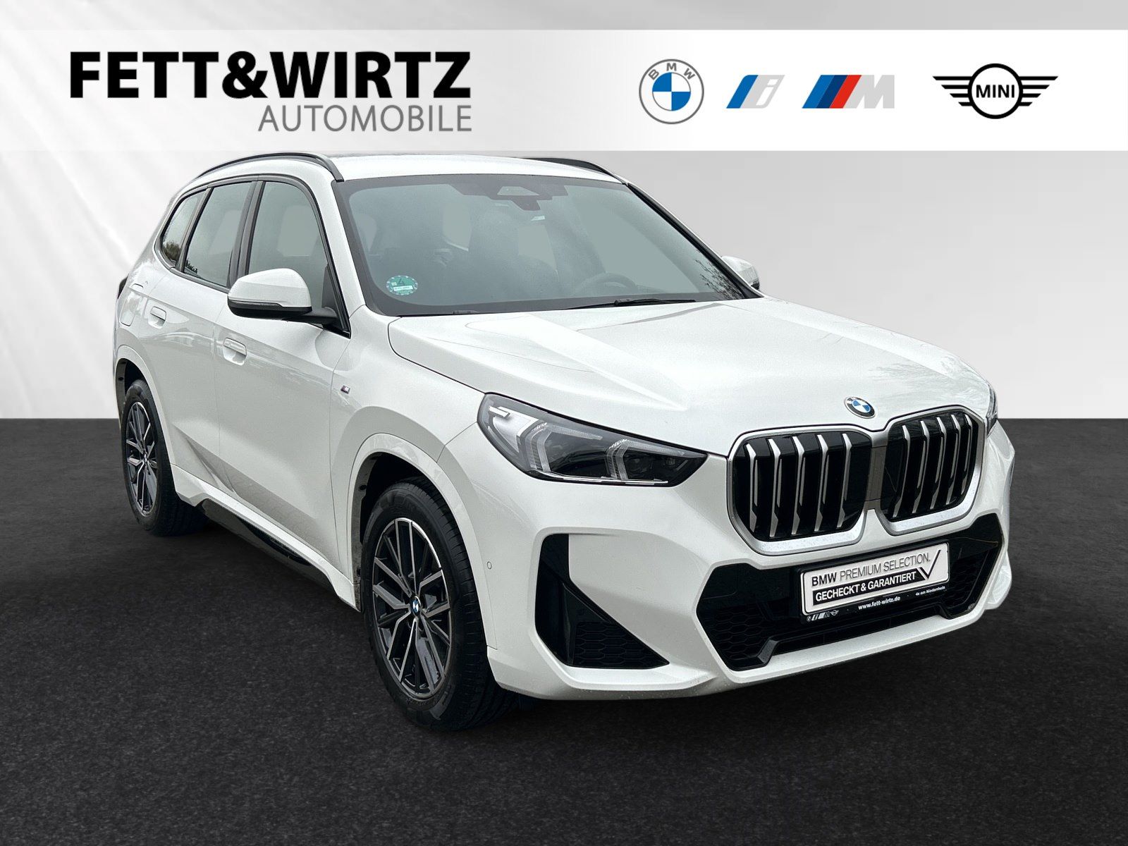 BMW X1 sDrive20d M Sport|Anhängerk.|Harman/Kardon