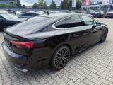 Audi A5 Sportback 35 TFSI basis - Audi A5: Sportback TFSI