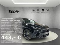 Cupra Terramar - Vorschau Bild 1