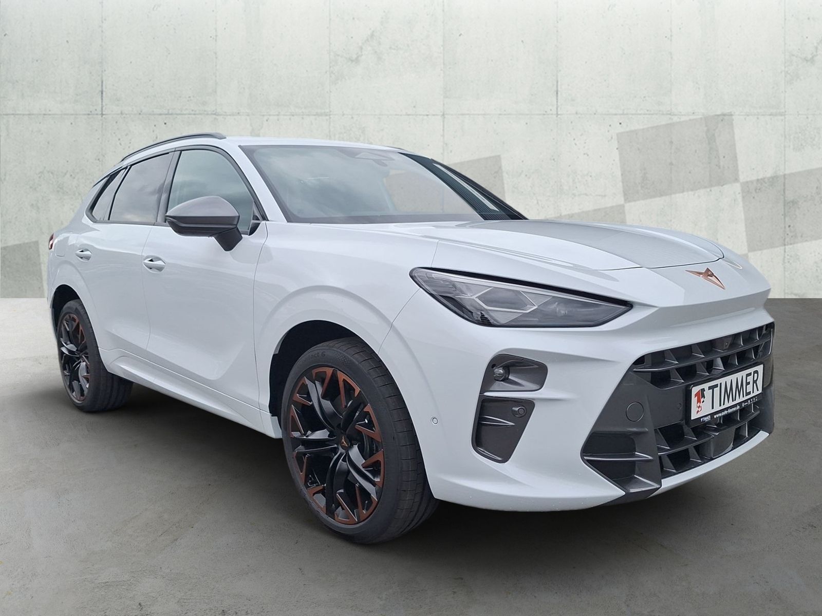 Cupra Terramar - Bild 3