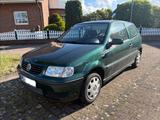 Volkswagen Polo 6n2 1.0 /TÜV 04/28 - Volkswagen Polo: Grün, 6n