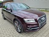 Audi SQ5 3.0 TDI competition tiptr.,exclusive,1 Hand, - Audi SQ5 in Hagen