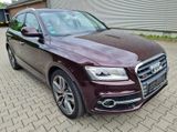 Audi SQ5 3.0 TDI competition tiptr.,exclusive,1 Hand, - Audi SQ5 mit Diesel-Antrieb: Allradantrieb, Geländewagen, Automatik