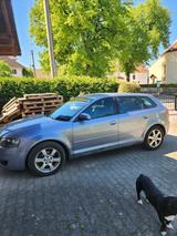 Audi A3 mit 1,6 L  in grau - Audi A3 aus 2004: 1.6
