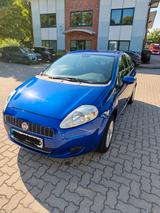 Fiat Punto 1.2 8V Dynamic Dynamic - Fiat Punto Dynamic mit Benzin-Antrieb