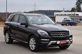 Mercedes-Benz ML 350 CDI*Leder*AHK*Pano*Kamera*Bi-Xenon - Mercedes-Benz ML 350: Schwarz