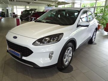 Ford Kuga Hybrid Cool &amp; Connect 2,0EcoBlue 150PS, ANZ