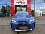 Lexus UX 300e Luxury Line - Lexus UX aus 2020