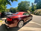 Audi A5 Cabriolet  - Audi A5: Cabrio