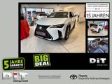 Lexus UX 300h F Sport Design Klimaaut., ACC,SpurH, LM