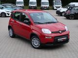Fiat Pandina 1,0 GSE Hybrid City Paket - Fiat Panda Pandina mit Hybrid-Antrieb (Benzin/Elektro)