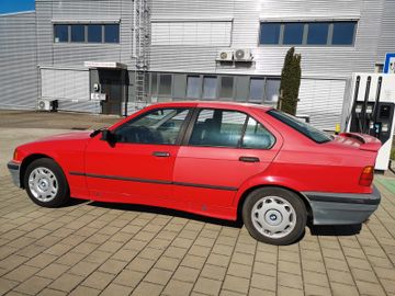 BMW 316 - 11