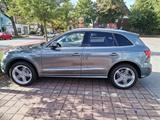 Audi Q5 3.0 TDI S tronic quattro - Gebraucht - Audi Q5 mit Diesel-Antrieb: 3.0