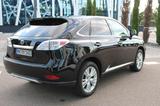 Lexus RX 450h Executive | Vollhybrid | Klima-Sitze - Lexus RX 450: Rx450h