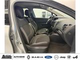 Renault Captur TCe 130 GPF COLLECTION KLIMA NAVI PDC LM - Renault Captur: Collection