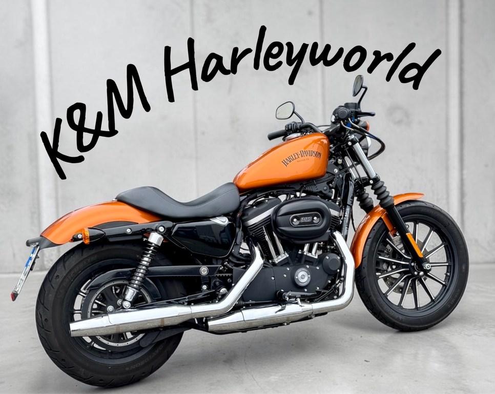 Harley-Davidson IRON Top Zustand, seltene Farbe