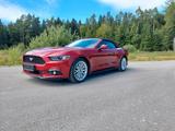 Ford Mustang Basis Convertible - Ford: Cabrio