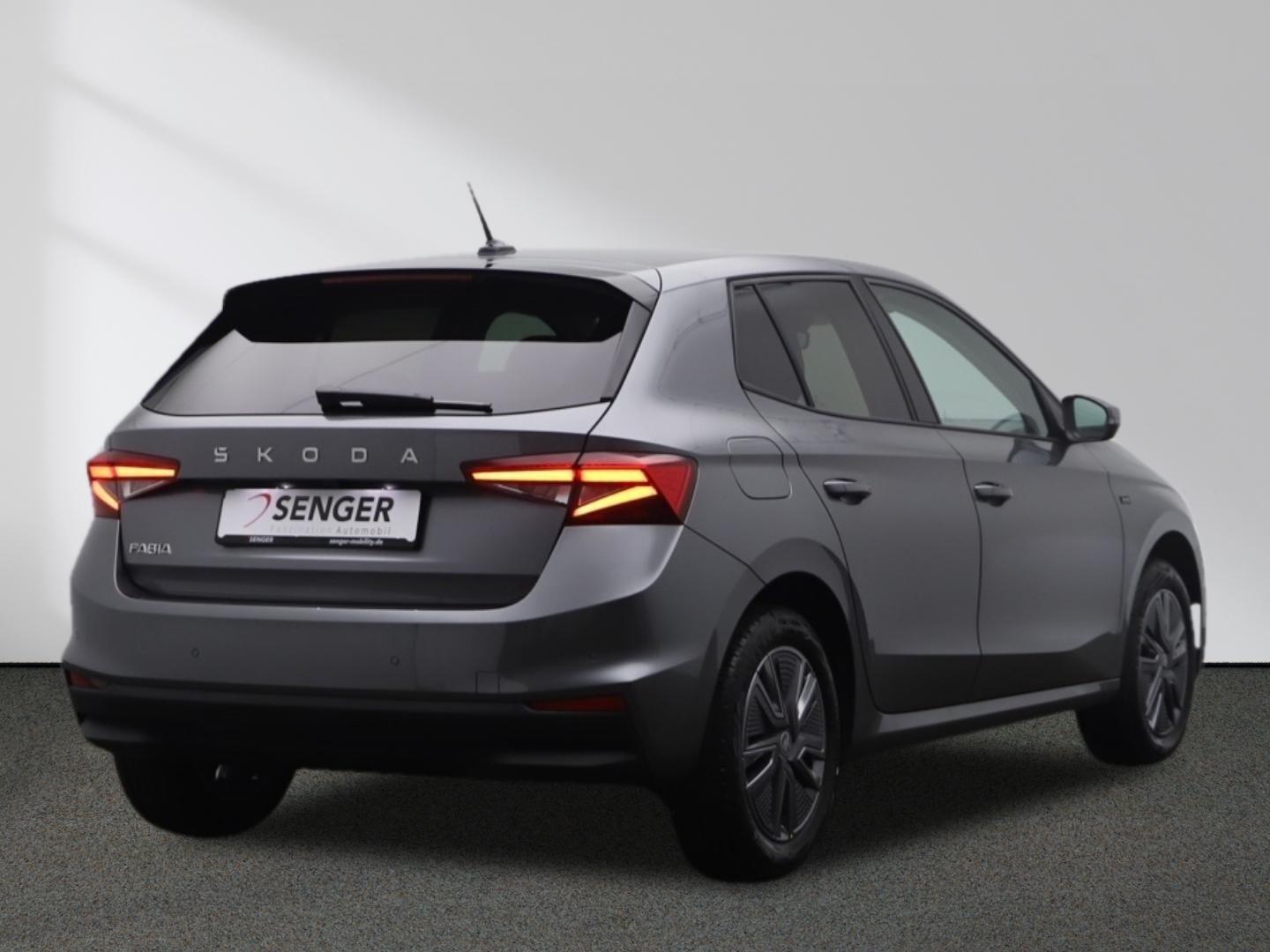 Skoda Fabia 1.0 TSI Drive Kamera Navi Parken-Paket LED