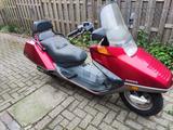 Honda Helix - Offers
