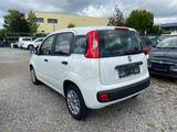 Fiat Panda Easy * Klima * PDC - gebrauchte Fiat Panda aus dem Jahr 2020