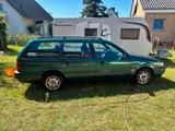 Volkswagen Passat Variant 1.6 Basis viele Neu-Teile - Volkswagen Passat Variant aus 1996