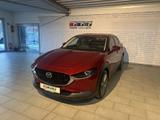 Mazda CX-30 SKYACTIV-G 2.0 M-Hybrid 150 AWD SELECTION - gebrauchte Mazda CX-30 aus dem Jahr 2020