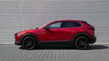 Mazda CX-30 e-SKYACTIV G 140 Homura + AHK - Mazda CX-30 Homura mit Hybrid-Antrieb (Benzin/Elektro)