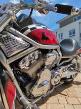 Harley-Davidson vrsca - Angebote