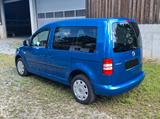 Volkswagen Caddy 1,2TSI  - VW Caddy von privat