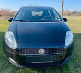 Fiat Punto - gebrauchte Fiat Punto aus dem Jahr 2008