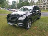 Mercedes-Benz Mercedes ML 350d 4MATIC 7G AHK. Standheizung - Mercedes-Benz ML 350: 7