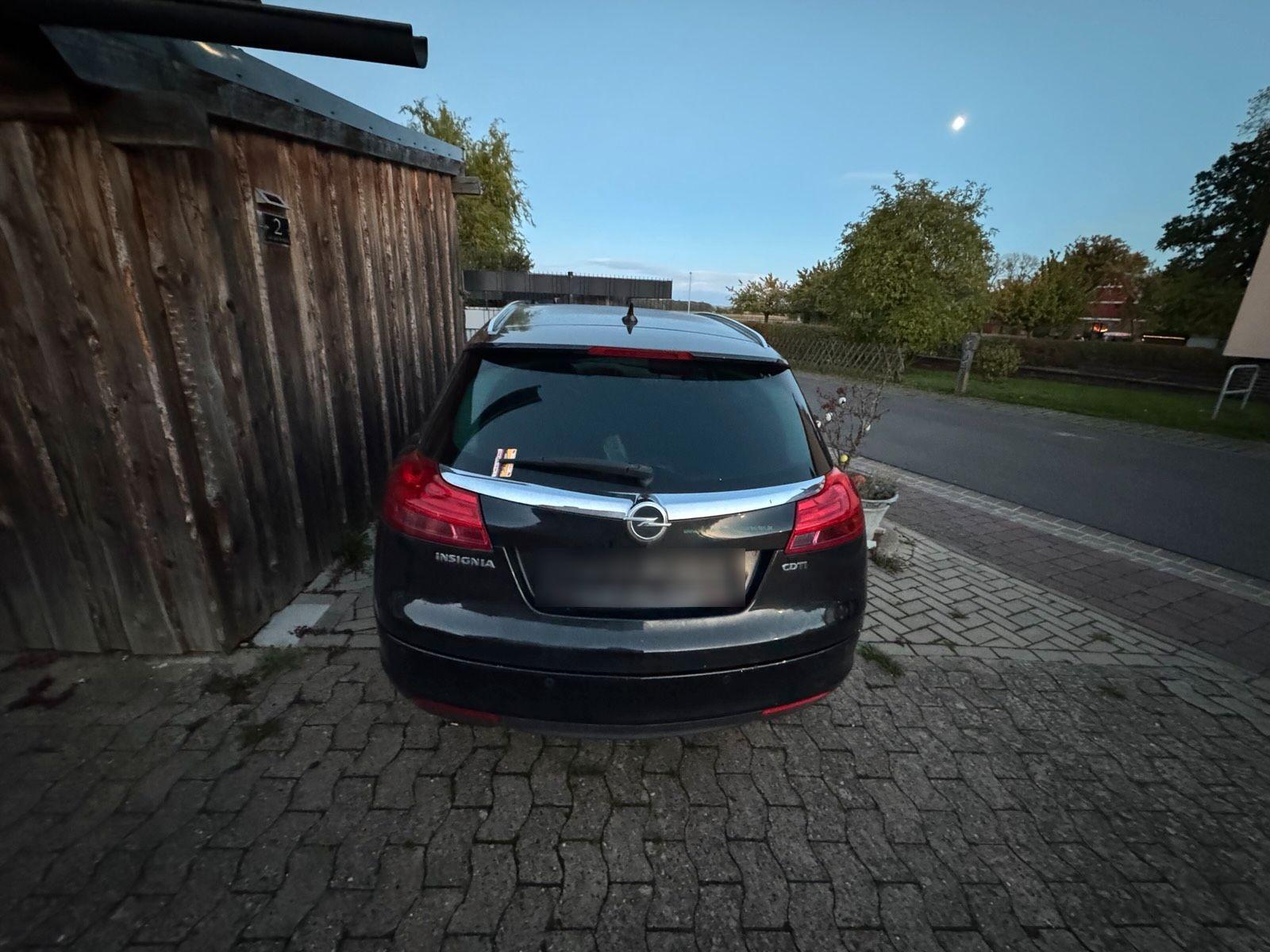 Opel Insignia 2010 — rear view